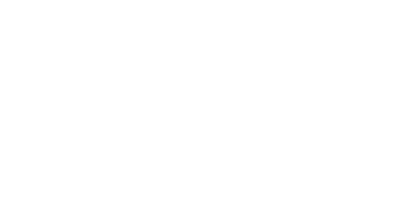 Behandlerverket